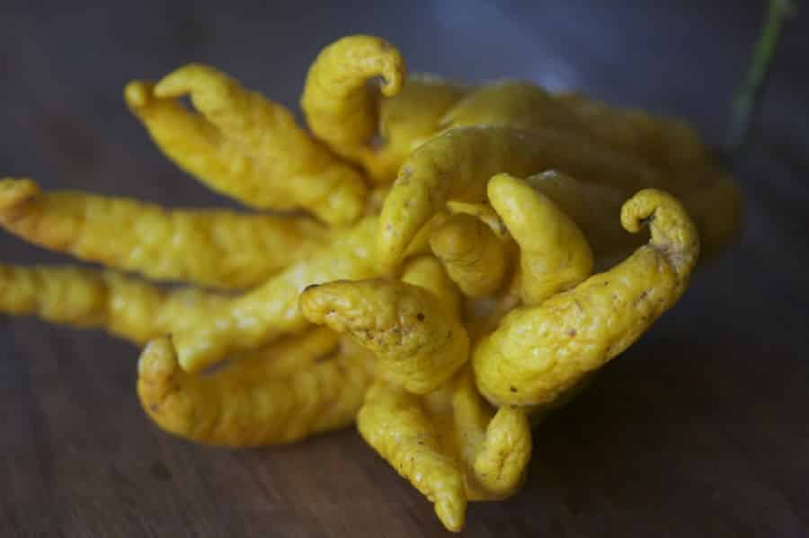 عجیب ترین میوه های جهان