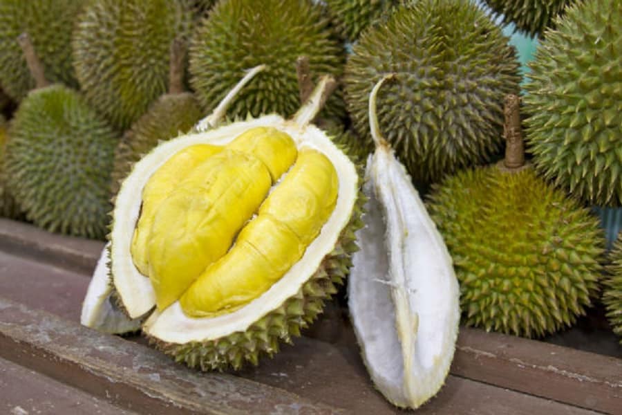 عجیب ترین میوه های جهان