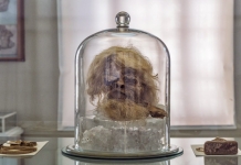 مرد نمکی نگهداری شده در موزه‌ی ایران باستان