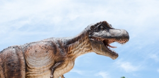 کشف دایناسور غول پیکر جدید نشان می دهد چرا گوشتخواران ماقبل تاریخ بازوهای کوچکی داشتند