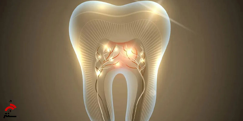 داروی رشد مجدد دندان