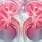 تغییر گروه خونی کلیه