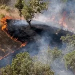 آتش سوزی جنگل های هیرکانی