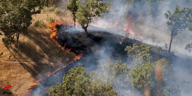 آتش سوزی جنگل های هیرکانی