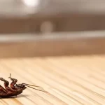 سموم باکتریایی خطرناک