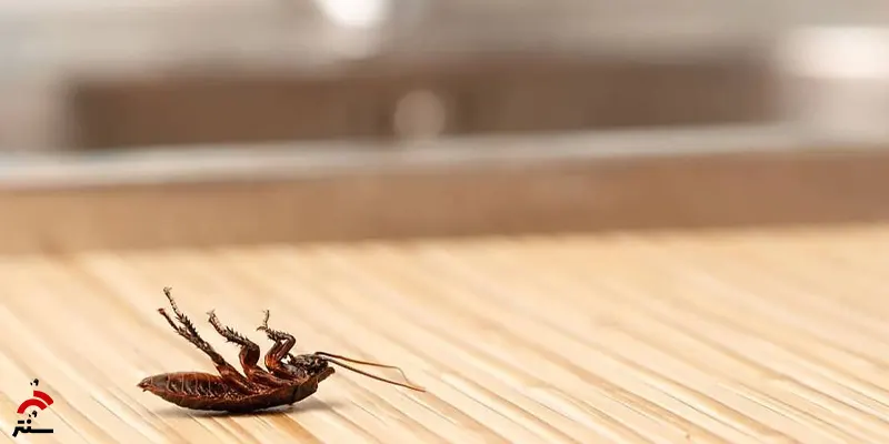 سموم باکتریایی خطرناک