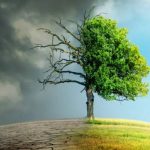 مقابله با تغییرات اقلیمی